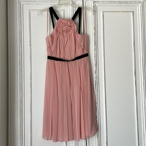 BCBG Bianca dress in Soft Petal